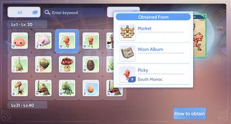 Ragnarok Origin CARD ATTRIBUTE .